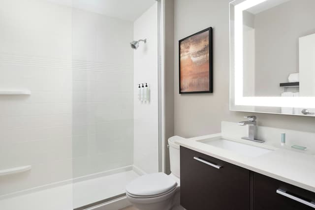Towneplace Suites Houston Hobby Airport-Studio, 1 King Bed with Sofa bed-14