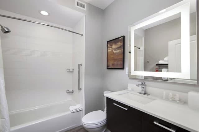 Towneplace Suites Houston Hobby Airport-Studio, 1 King Bed with Sofa bed-8