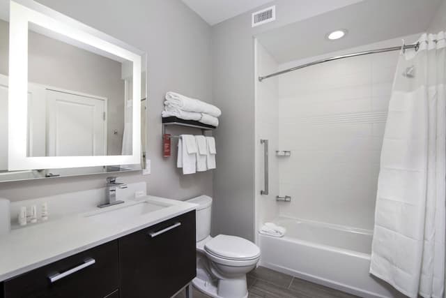 Towneplace Suites Houston Hobby Airport-Studio, 1 King Bed with Sofa bed-9