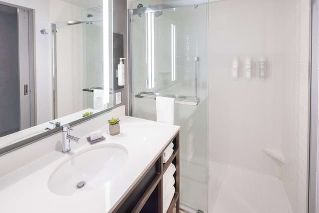 Hilton Garden Inn Redmond Seattle-客房, 1 张特大床-4