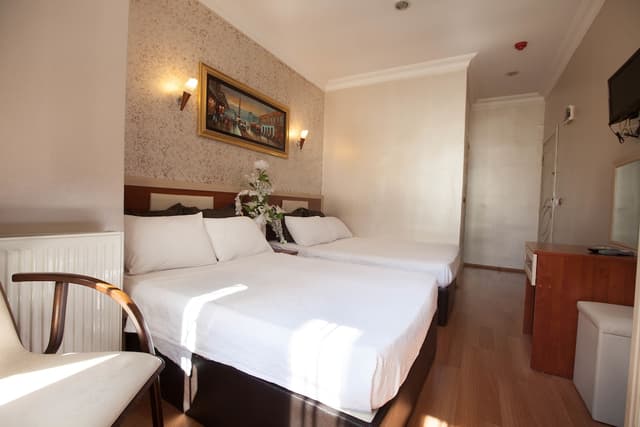 帕米耶大酒店-家庭客房-4