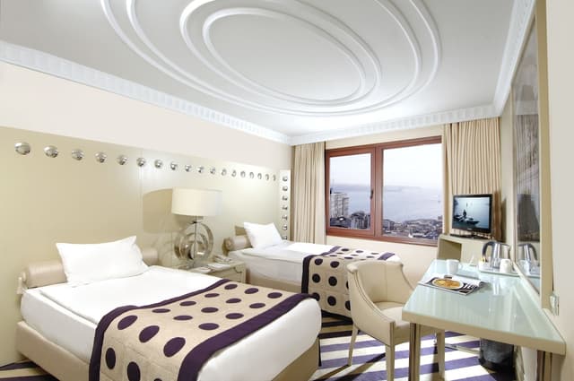 タクシム ヒル ホテル-スタンダード ルーム-3