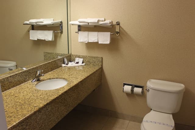 Crystal Inn Suites & Spas-双人房, 多张床, 吸烟房-4