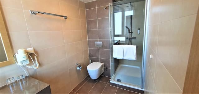 ゴールデン チューリップ カッセル ホテル ライス-デラックス ルーム キングベッド 1 台-9