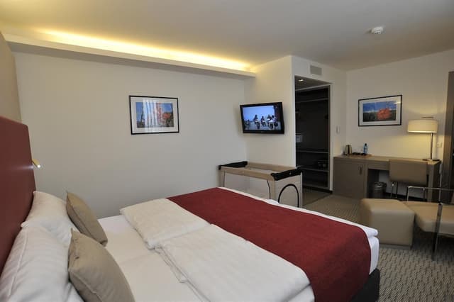 ゴールデン チューリップ カッセル ホテル ライス-デラックス ルーム キングベッド 1 台-4