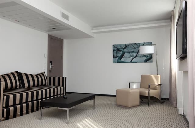 ゴールデン チューリップ カッセル ホテル ライス-スイート キングベッド 1 台-2