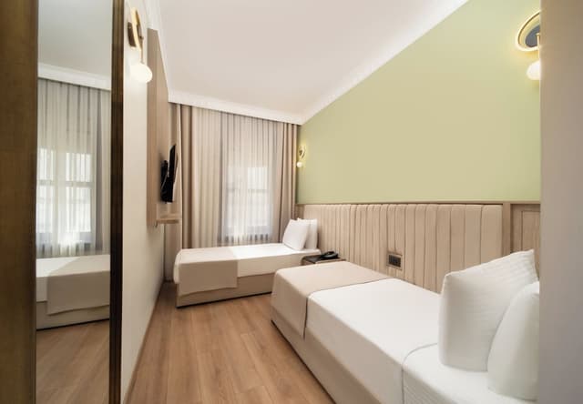 아틱 팰리스 호텔-STANDART TWIN ROOM-4