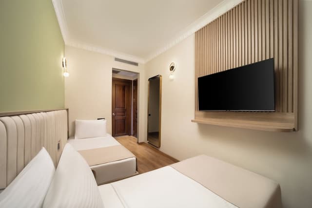 아틱 팰리스 호텔-STANDART TWIN ROOM-1