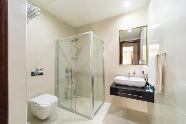 아틱 팰리스 호텔-STANDART TWIN ROOM-3