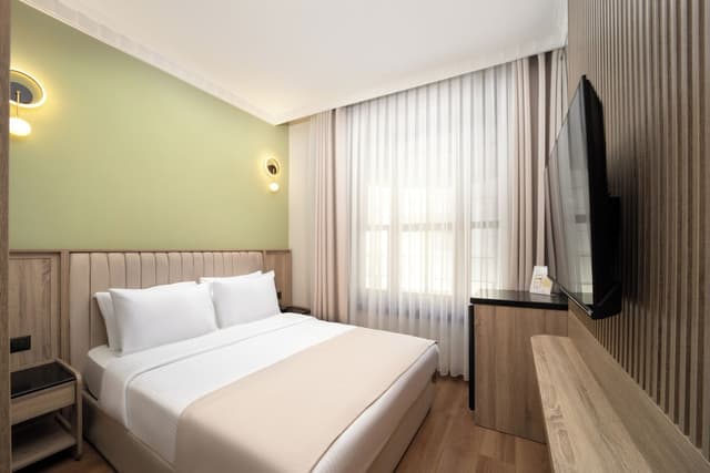 아틱 팰리스 호텔-STANDART DOUBLE ROOM-4