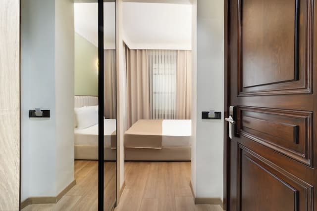 아틱 팰리스 호텔-STANDART SINGLE ROOM-1