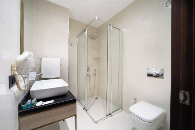 아틱 팰리스 호텔-STANDART SINGLE ROOM-3