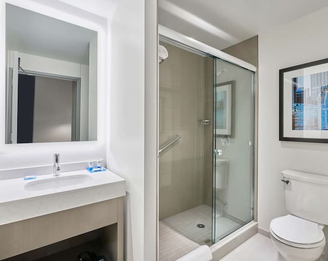 芝加哥凱悅嘉寓酒店 - 醫學中心/大學城-客房, 1 張特大雙人床-4