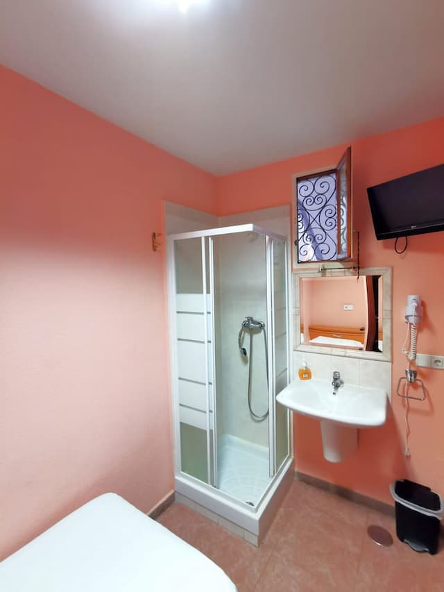 카사 데 우에스페데스 아스투리아나-싱글룸-2