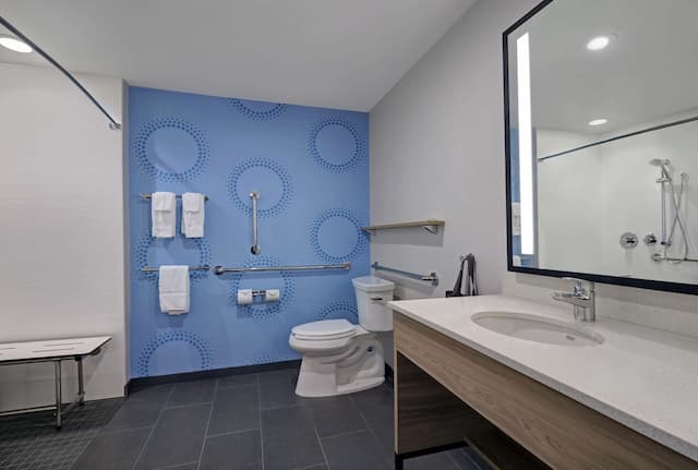 塔克維拉南中心 Tru by Hilton 飯店-客房, 2 張加大雙人床, 無障礙 (Roll-In Shower)-3