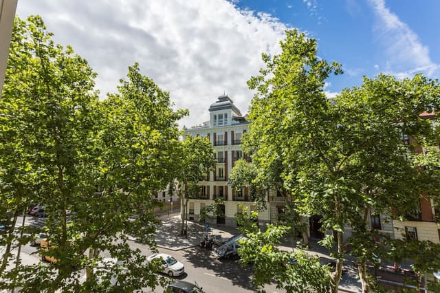 Petit Palace Lealtad Plaza-双人房, 城市景观-18