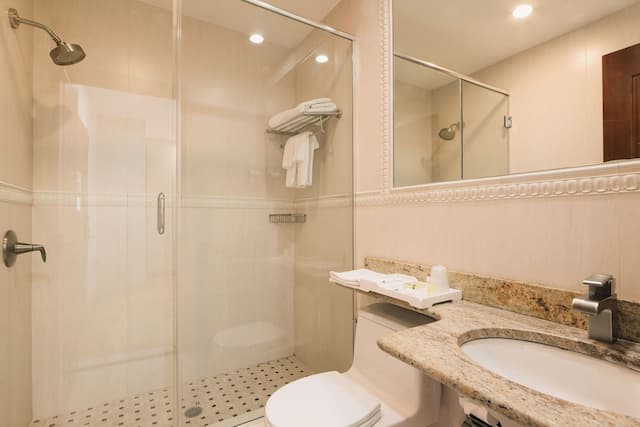 拉瓜迪亞機場亞洲飯店-普通套房-5