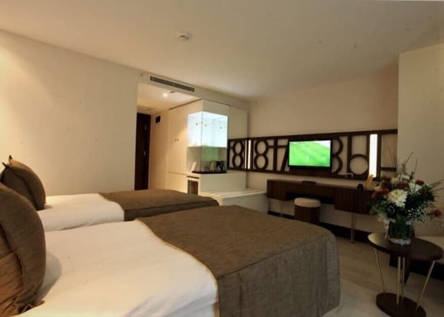 빅토리 호텔 & 스파 이스탄불-스탠다드 더블룸 또는 트윈룸-5