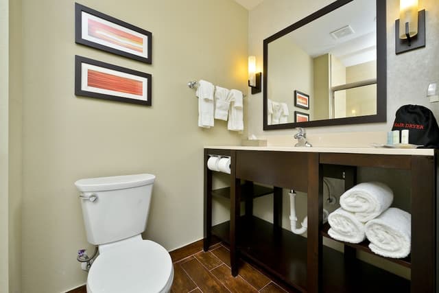 環城 8 號公路韋斯特徹斯附近凱富全套房飯店-套房, 1 張特大雙人床和 1 張沙發床, 非吸煙房-14