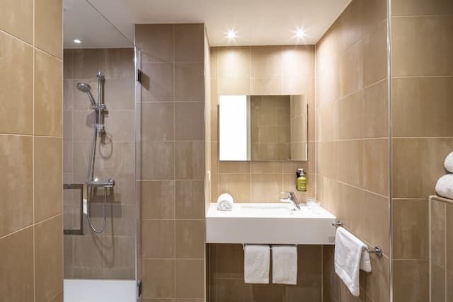 Holiday Inn Amsterdam - Arena Towers by IHG-标准房-7