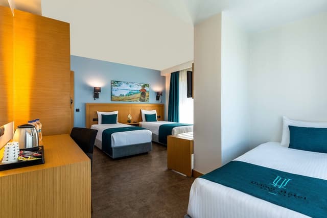 어반 호텔 보몬티-스탠다드 트리플룸-3