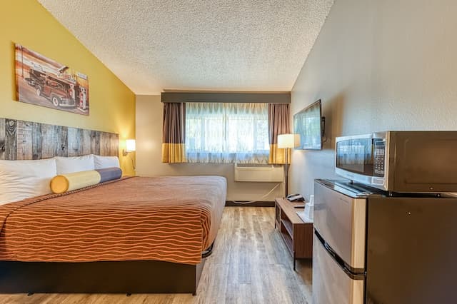 La Mirage Inn - Hollywood-经典单人房-4