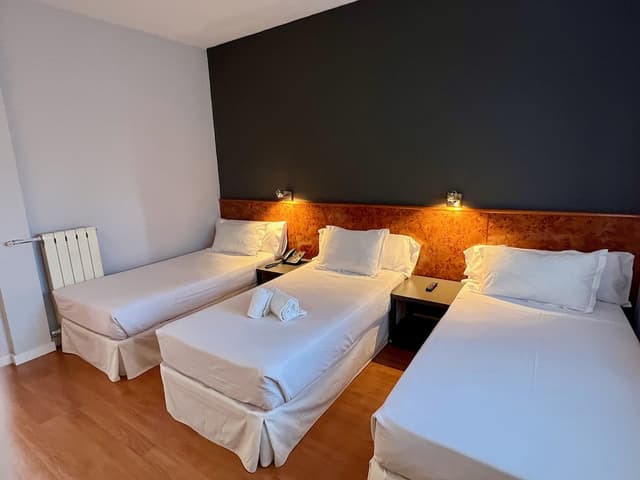 AP 호텔 마드리드 공항-스탠다드 트리플룸-3