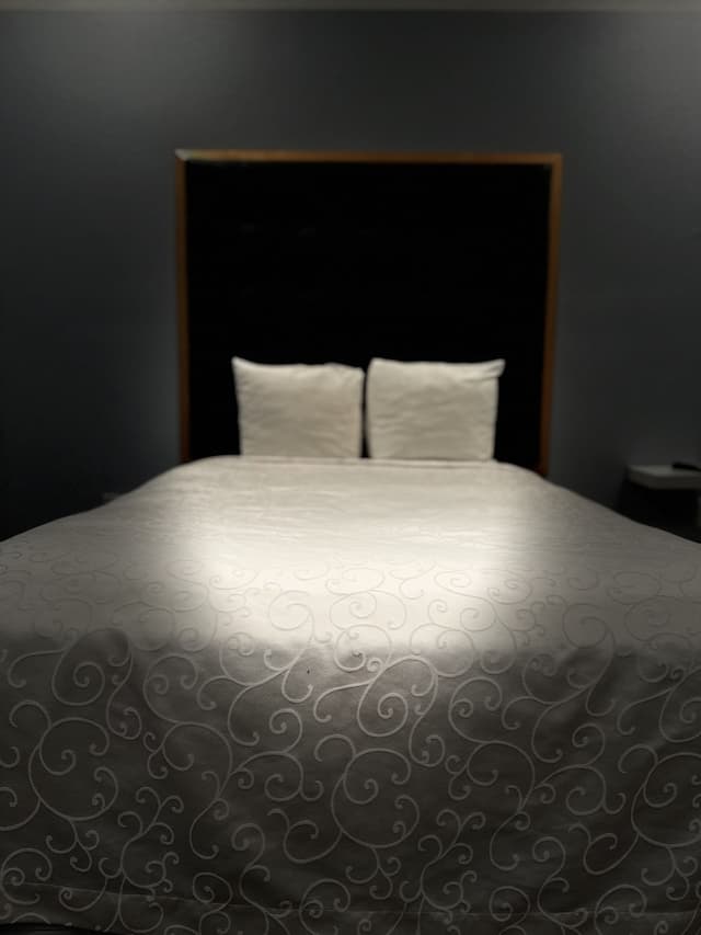 溫莎酒店-豪華客房 (with Shared Bathroom)-1