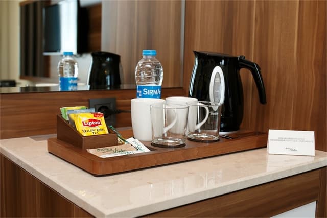 圖雅普帕拉斯飯店-標準客房-4