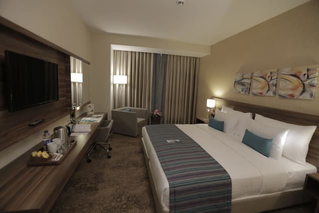 圖雅普帕拉斯飯店-豪華客房-2