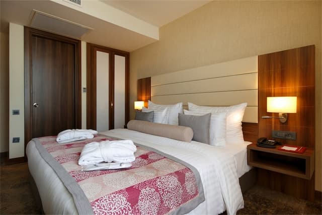 圖雅普帕拉斯飯店-豪華客房-1