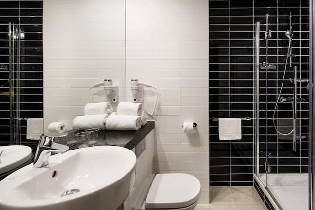 阿姆斯特丹 - 體育場塔智選假日飯店 - IHG 旗下飯店-標準客房, 1 張加大雙人床 (Free Breakfast)-6