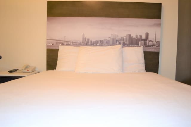 Inn on Folsom-标准房, 1 张大床, 公共浴室-10