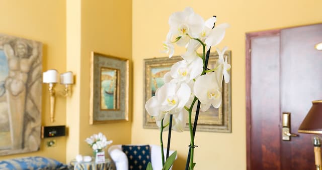 塞里奧酒店-三人房-4