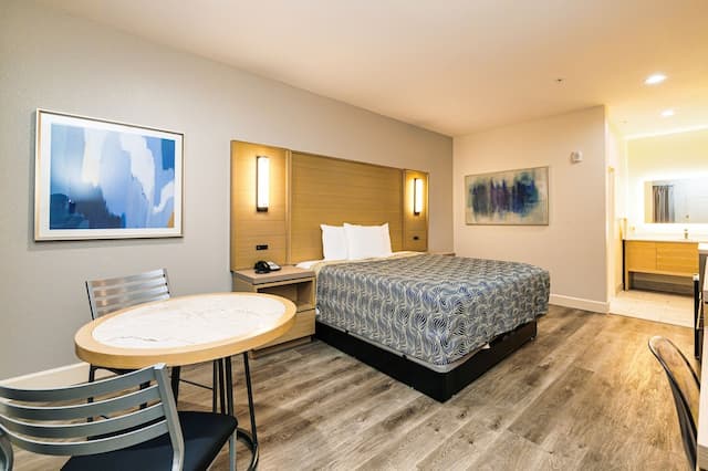 Palace Inn Blue IAH East-Deluxe Room, 1 King Bed-3