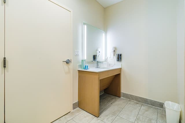 Palace Inn Blue IAH East-Deluxe Double Room, 2 Double Beds-4