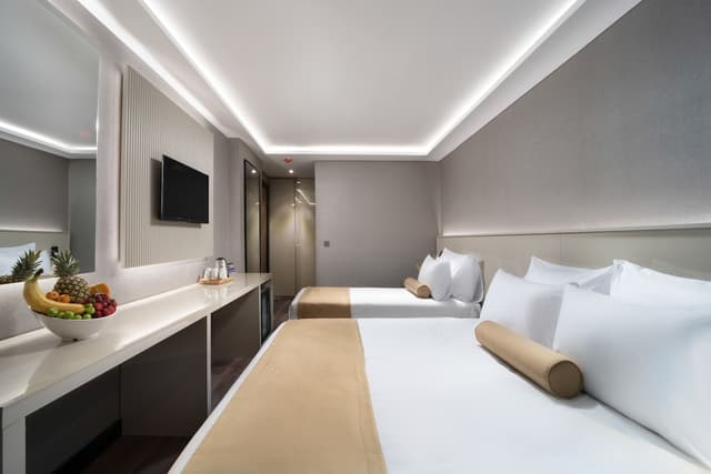 Pianoforte by Febor Hotels & Spa = Pianoforte by Febor 飯店及水療中心-標準三人房-3