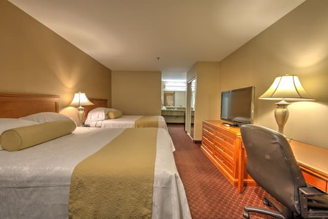 伯班克套房酒店-標準客房, 2 張加大雙人床-4