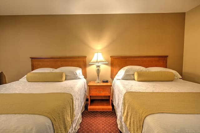 伯班克套房酒店-標準客房, 2 張加大雙人床-5