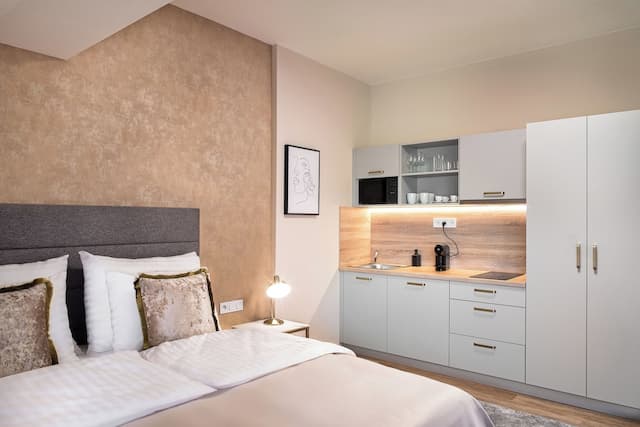 Theatre 9 Apartment by Adrez Living-高級開放式客房-5