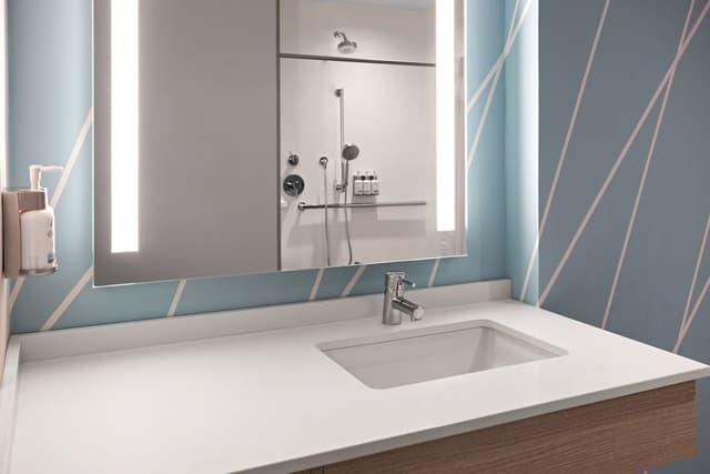 avid hotel Brooklyn Dyker Heights by IHG-标准房, 1 张特大床-5