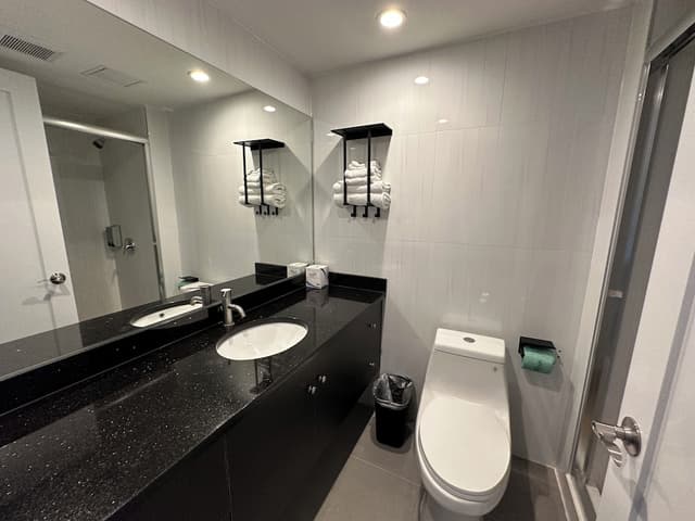 Regal Inn & Suites New York LaGuardia Hotel-標準單人房, 1 張特大雙人床, 非吸煙房-12