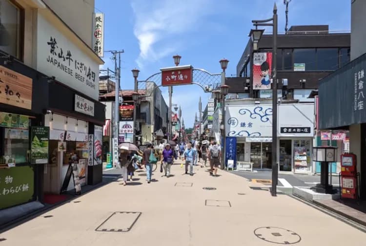 【鎌倉一日遊】鶴岡八幡宮・小町通・長谷寺・高德院・江之島｜英文導遊｜可選擇池袋、新宿出發-8