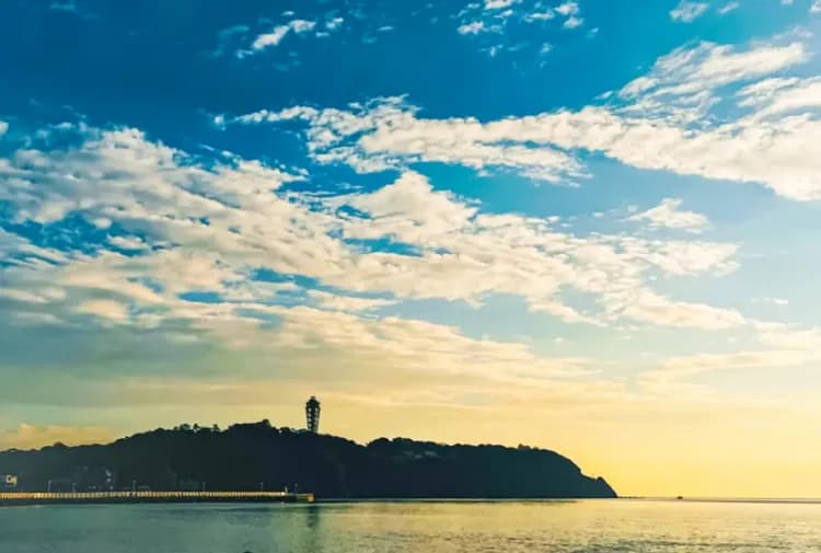 【鎌倉一日遊】鶴岡八幡宮・小町通・長谷寺・高德院・江之島｜英文導遊｜可選擇池袋、新宿出發-6