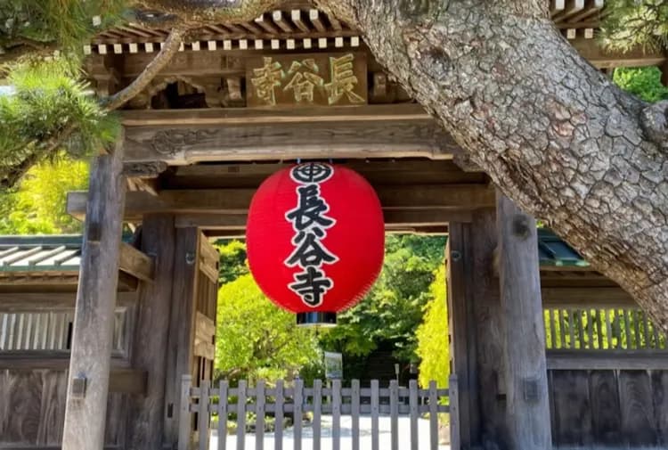 【鎌倉一日遊】鶴岡八幡宮・小町通・長谷寺・高德院・江之島｜英文導遊｜可選擇池袋、新宿出發-9
