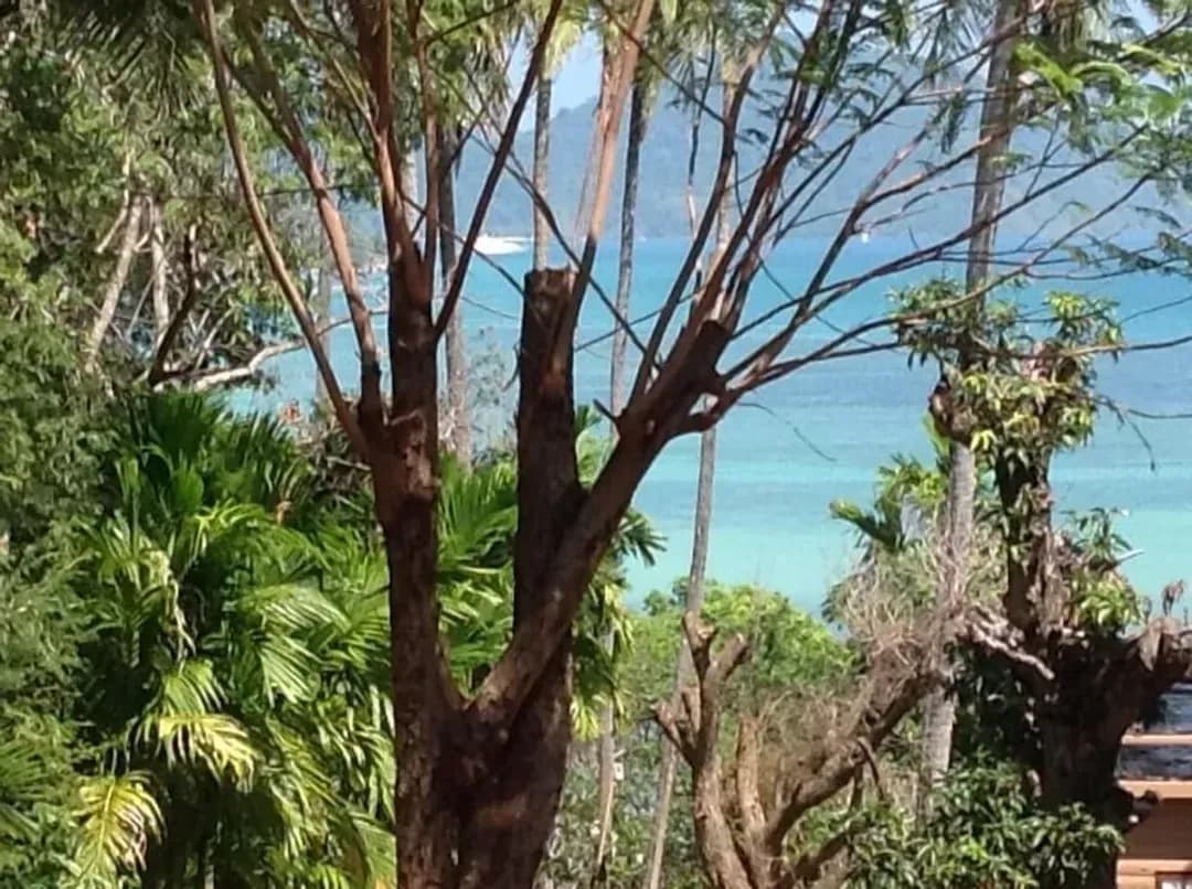 普吉府-C 景觀精品飯店