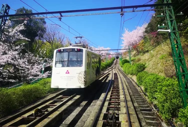 【天橋立一日遊】智恩寺・遊覽船・纜車・傘松公園・美山町｜英文導遊｜可選擇大阪、京都出發｜含午餐-6