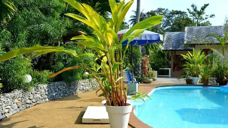 Outdoor pool