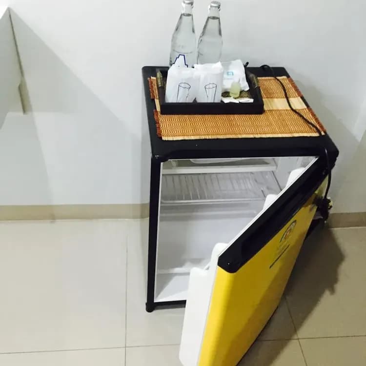 Mini-refrigerator