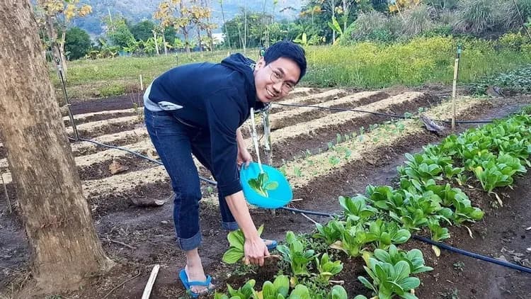 Children's activities